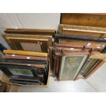 Good Collection of Picture Frames including Gilt, Ebonised and Oxford