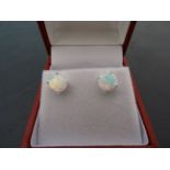 A pair of cased opal earrings