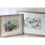 Two signed limited edition colour prints of seabirds, both framed and glazed.