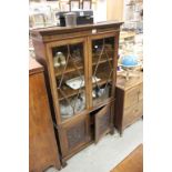 Early 20th century Mahogany Glazed Display Cabinet with Two Floral Carved Panel Cupboard Doors below