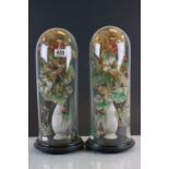 Two 19th Century tall vases of floral displays on ebonised circular plinths, 41cm in height