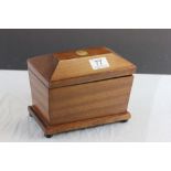 Regency Style Mahogany Tea Caddy