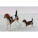 Two Beswick ' Champion Wendover Billy 'Beagles, one large and one small