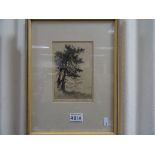 Connie Lloyd, New Zealand Artist - 1930's Pencil Drawing of Trees by a Bay signed in pencil to the