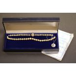 Cultured Pearl necklace with 9ct Gold clasp in a Mikimoto necklace box