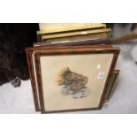 Three Antique Engravings, Illuminated Picture of Madonna and Child, Pair of Dog Prints signed in