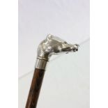 A vintage walking stick with white metal badger head handle.