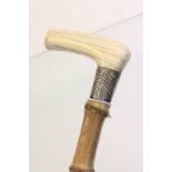 An antique ivory handled walking stick