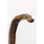 A 19th century walking stick with carved dog head handle with glass eyes .