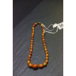 Graduated baltic amber bead necklace