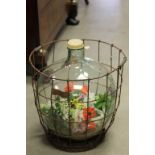 Large glass Terrarium with metal basket stand