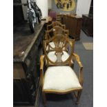 3 x matching Hepplewhite Sheaf back shield design carver chairs with drop in seats