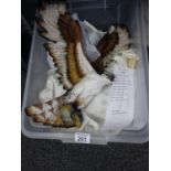 Bossons, a box containing 10 items inclduing an Osprey in flight