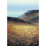 †Rachael Mia ALLEN (b.1974), Oil & ink, 'Porthchapel', Cornish landscape with glimpse of sea in