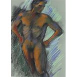 †Barry ELPHICK (20th / 21st Century English School), Pastel, Standing Male Nude, Signed, 19.5" x