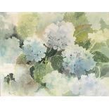 S* FARRELL (20th Century), Watercolour, Hydrangeas, Signed, 15" x 19.25" (38cm x 49cm)