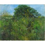 Pat ALGAR (British 1939 - 2013) Meadow Landscape - Summer, Oil on canvas, Signed lower right,