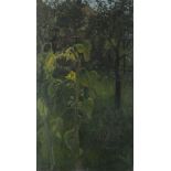 Pat ALGAR (British 1939 - 2013)  'Sunflower' - garden landscape, Oil on board, Signed & titled