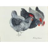 Lesley HOLMES (British b.1958) Four Maran Chickens, Watercolour, Printed artist's label verso,