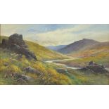George Henry JENKINS (British 1838-1914) Moorland Landscape (possibly Devon) , Watercolour, Signed