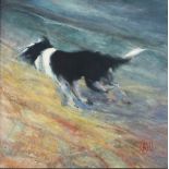 Richard Lannowe HALL (British b.1951) 'Sheep Dog Running Uphill', Mixed media, gouache on board,