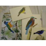 Initialled A.T. – Bird on branch 11” x 9” and four others unframed