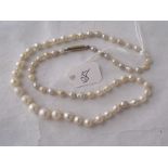 A single row of pearls