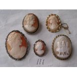 Five cameo mounted brooches