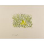 Louis le Brocquy HRHA (1916-2012) ENCLOSED FIELD, BEARA, 1988 lithograph; (no. 13 from an edition of