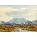 Late 19th/Early 20th Century Irish School LANDSCAPE WITH MOUNTAIN IN THE DISTANCE watercolour 5 x