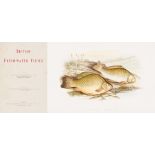 Houghton, Rev. W. British Fresh Water Fishes. Illustrated with a coloured Figure of each Species