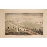 Cricket, 1820s, Ireland's Royal Brighton Gardens A hand-coloured engraving, Ireland's Royal Brighton