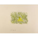 Louis le Brocquy HRHA (1916-2012) ENCLOSED FIELD, BEARA, 1988 lithograph; (no. 13 from an edition of