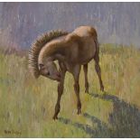 Robert Taylor Carson HRUA (1919-2008) CONNEMARA FOAL, 1976 oil on canvas board signed lower left;