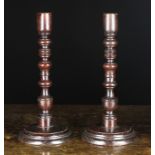 A Pair of Large 19th Century Turned & Painted Treen Candlesticks.