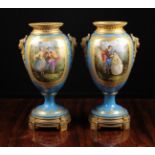 A Pair of 19th Century Sèvres Pedestal Vases.