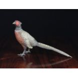 An Austrian Cold Painted Bronze Pheasant, 14 ins (36 cms) in length.