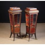 A Similar Pair of 19th Century Vitrine/Pedestals.