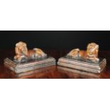 A Pair of 19th Century Treacle Glazed Stoneware Lions reclining on rectangular bases,