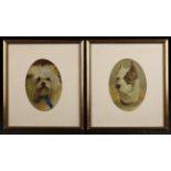 A Pair of Framed Watercolour Dog Portraits 7 ins x 5 ins (18 cm x 13 cms) in oval mounts and glazed