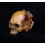 An 18th/19th Century Japanese Netsuke carved in the form of a toad clung to the back of a skull,