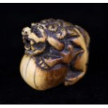 An 18th/19th Century Carved Ivory Netsuke in the form of a crouching Shishi with front paws over a