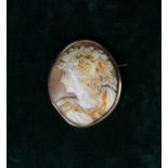 A Fine Victorian Shell Cameo Brooch carved with the head of a young Bacchante wreathed in fruiting