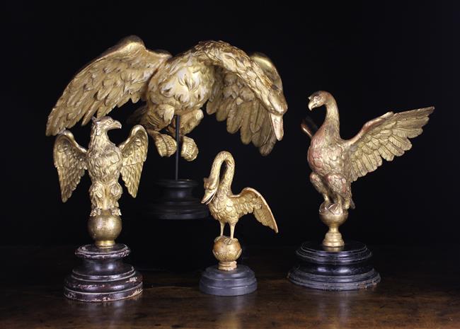 Four Antique Carved Giltwood Birds with spread wings; each mounted on a turned and ebonised stand.