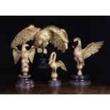 Four Antique Carved Giltwood Birds with spread wings; each mounted on a turned and ebonised stand.