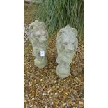 A pair of stone effect lions - Height 53cm