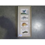 A series of four Oriental paintings on pith paper of a fish and a bird - each 6.