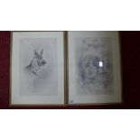 Two pencil portraits of a Spaniel and German Shepherd - H W Hellings - 32.