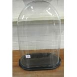 Late 19th Century Glass Dome and Plinth - size 12" wide, 6" deep,