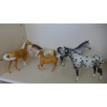 Two Beswick Palomino horses, an Appaloosa,